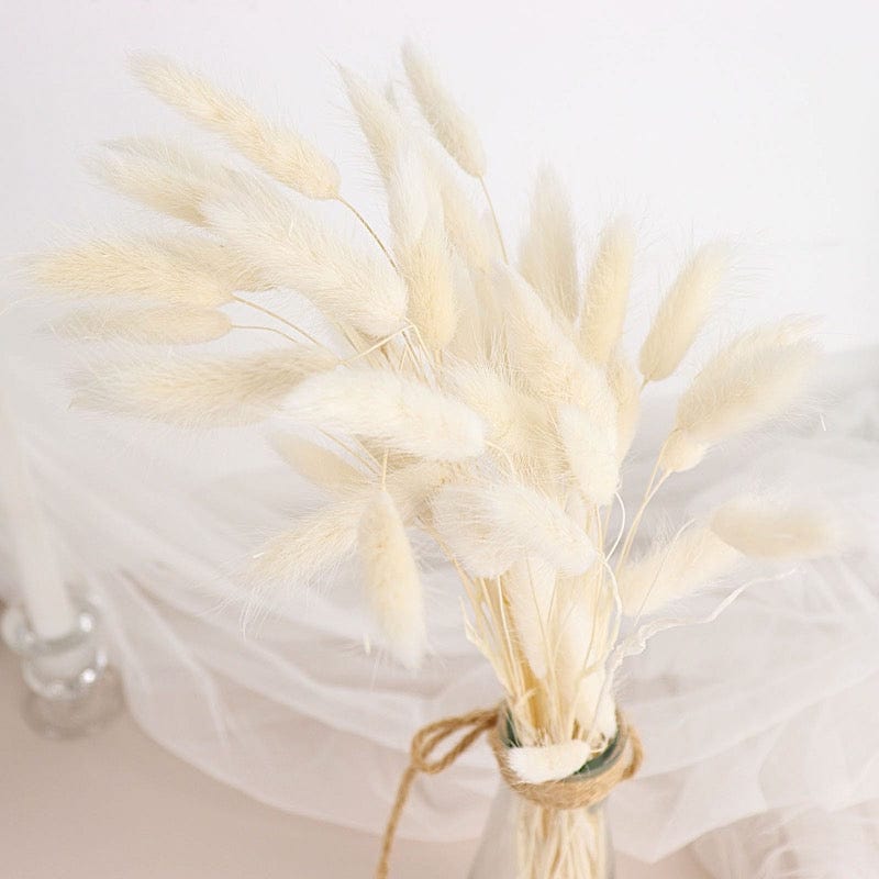 50 Stems 15" Rabbit Tail Dried Natural Pampas Grass Sprays