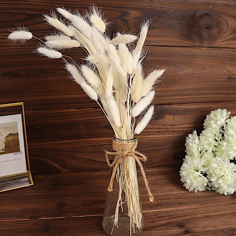 50 Stems 15" Rabbit Tail Dried Natural Pampas Grass Sprays