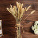 50 Stems 15" Rabbit Tail Dried Natural Pampas Grass Sprays