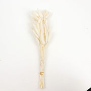 50 Stems 15" Rabbit Tail Dried Natural Pampas Grass Sprays ARTI_PAMP_003_M_WHT
