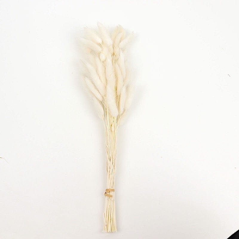 50 Stems 15" Rabbit Tail Dried Natural Pampas Grass Sprays ARTI_PAMP_003_M_WHT
