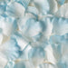 500 Silk Rose Petals Wedding Decorations PET_BAG_BLUE