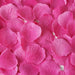 500 Silk Rose Petals Wedding Decorations PET_BAG_FUSH