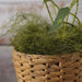 50g Natural Moss Grass Gift Box Vase Fillers