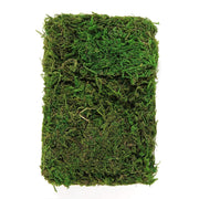 50g Natural Reindeer Moss Basket Vase Fillers - Green MOSS_FILL_004_GRN