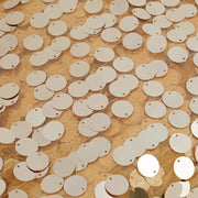 54" x 4 yards Mesh Fabric with Payette Sequins Fabric Bolt