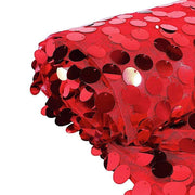 54" x 4 yards Mesh Fabric with Payette Sequins Fabric Bolt