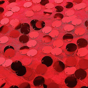 54" x 4 yards Mesh Fabric with Payette Sequins Fabric Bolt