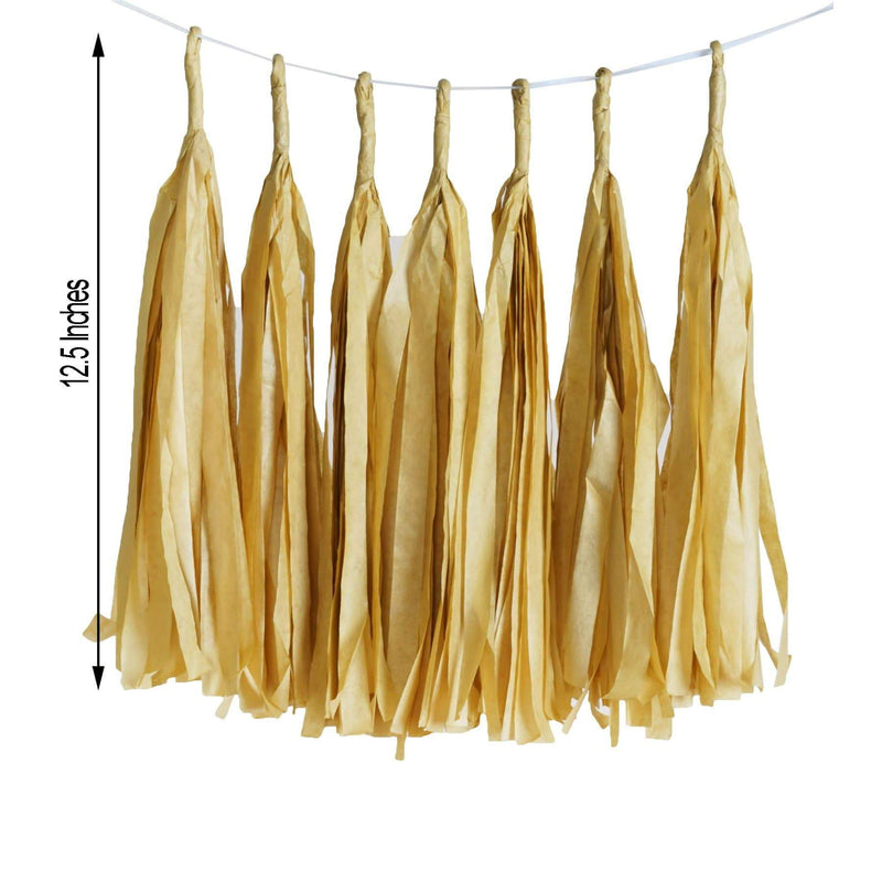 6 feet Tassel Tissue Paper Garland