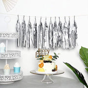 6 feet Tassel Tissue Paper Garland