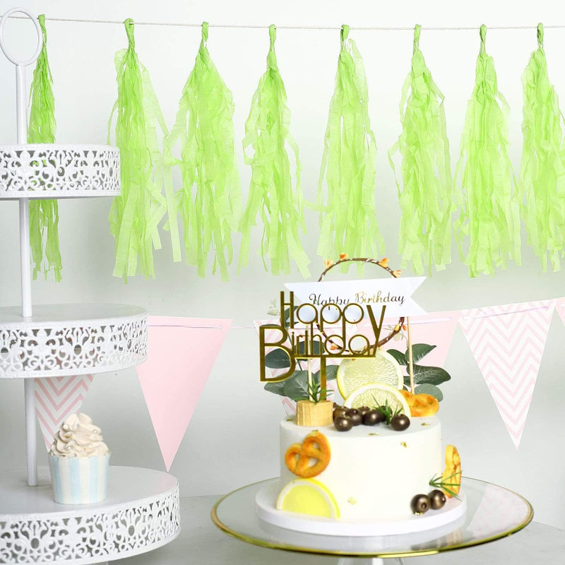6 feet Tassel Tissue Paper Garland