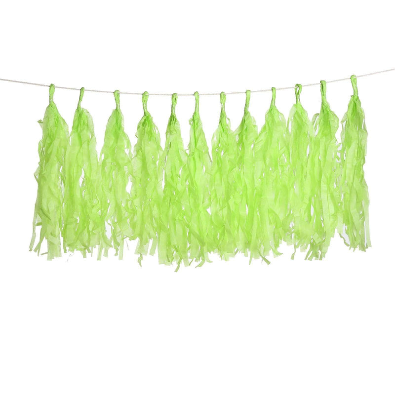 6 feet Tassel Tissue Paper Garland