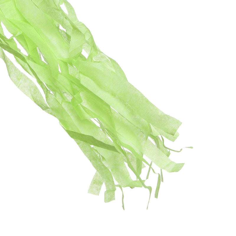 6 feet Tassel Tissue Paper Garland