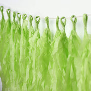 6 feet Tassel Tissue Paper Garland PAP_GRLD_APPL