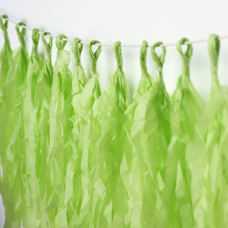 6 feet Tassel Tissue Paper Garland PAP_GRLD_APPL