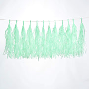6 feet Tassel Tissue Paper Garland PAP_GRLD_MINT