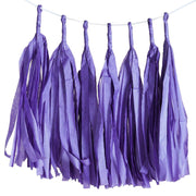6 feet Tassel Tissue Paper Garland PAP_GRLD_PURP