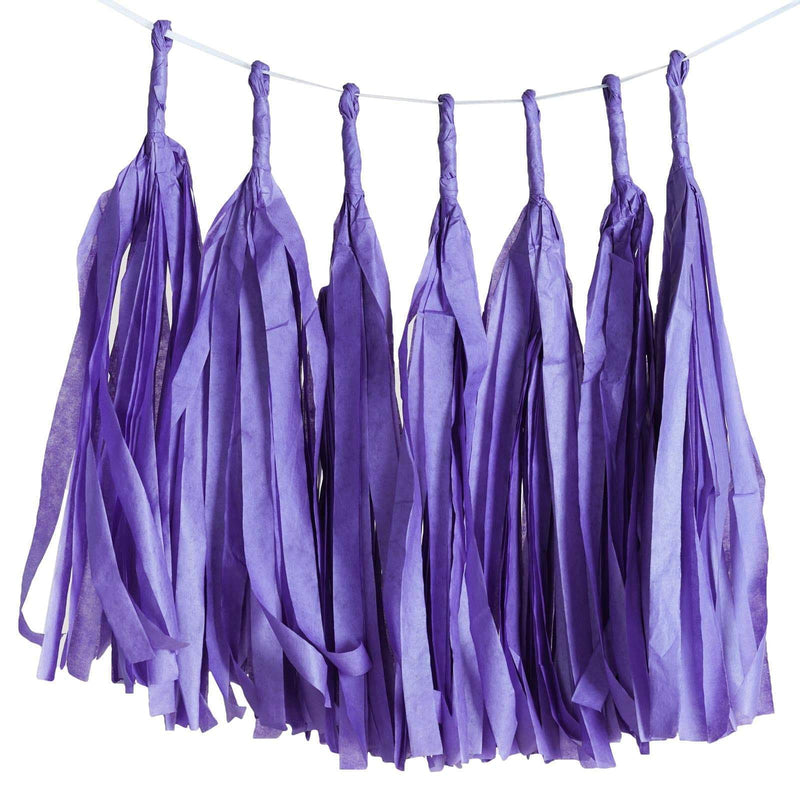 6 feet Tassel Tissue Paper Garland PAP_GRLD_PURP