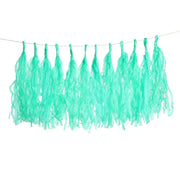 6 feet Tassel Tissue Paper Garland PAP_GRLD_TEAL
