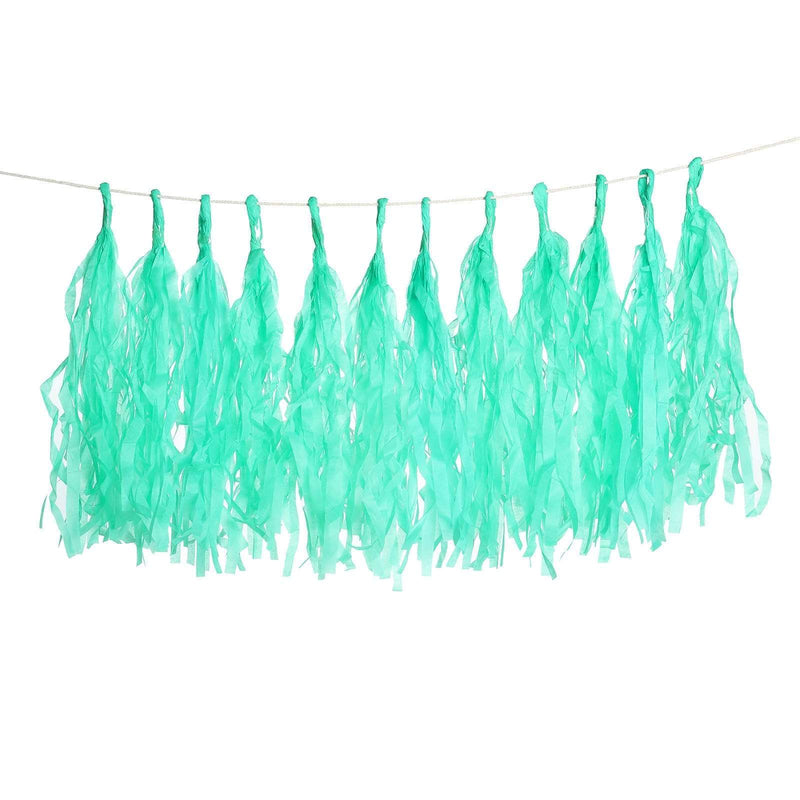 6 feet Tassel Tissue Paper Garland PAP_GRLD_TEAL