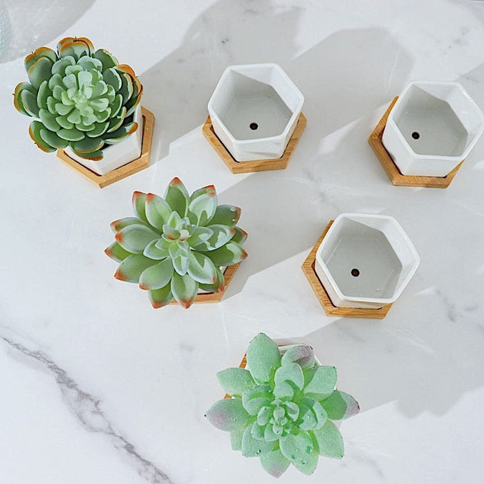 6 Mini 3" tall Ceramic Flower Pots Hexagon Geometric Planters - White and Natural PLNT_CERM_004_S_WHT