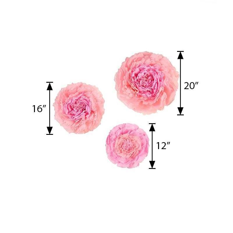 6 pcs 12" 16" 20" wide Large Carnations Tissue Paper Flowers
