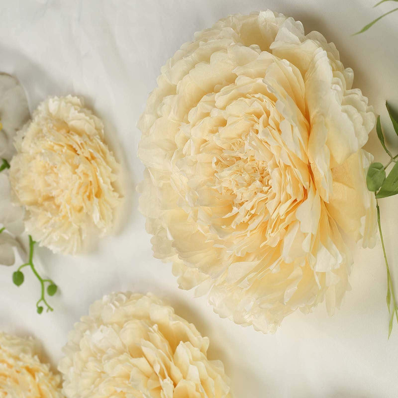 6 pcs 12" 16" 20" wide Large Carnations Tissue Paper Flowers