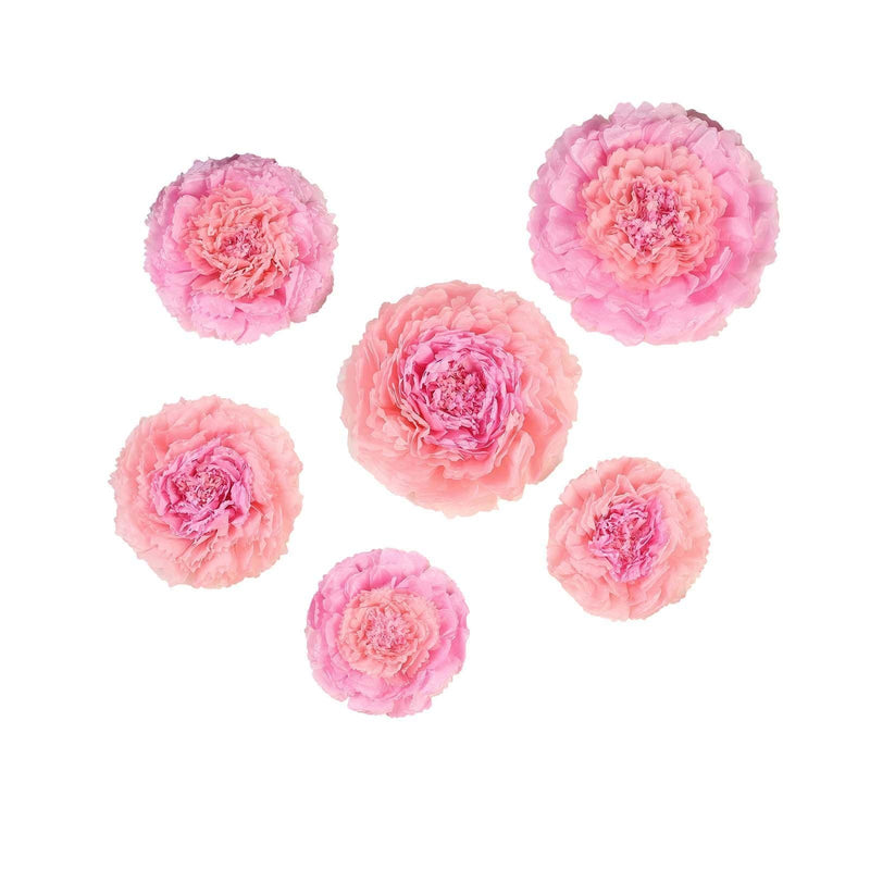 6 pcs 12" 16" 20" wide Large Carnations Tissue Paper Flowers POM_FLO04_1220_046