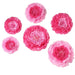 6 pcs 12" 16" 20" wide Large Carnations Tissue Paper Flowers POM_FLO04_1220_PINK