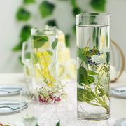 6 pcs 16" tall Cylinder Glass Wedding Centerpieces Vases - Clear VASE_A3_16