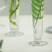 6 pcs 20" tall Trumpet Glass Wedding Vases - Clear VASE_A8_20
