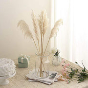 6 pcs 32" Natural Pampas Grass Sprays Dried Plant Stems