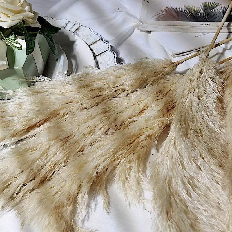 6 pcs 32" Natural Pampas Grass Sprays Dried Plant Stems