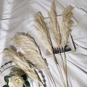 6 pcs 32" Natural Pampas Grass Sprays Dried Plant Stems