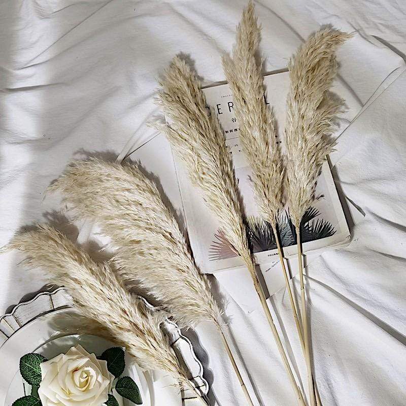 6 pcs 32" Natural Pampas Grass Sprays Dried Plant Stems