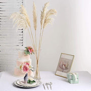 6 pcs 32" Natural Pampas Grass Sprays Dried Plant Stems