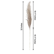 6 pcs 32" Natural Pampas Grass Sprays Dried Plant Stems