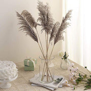 6 pcs 32" Natural Pampas Grass Sprays Dried Plant Stems
