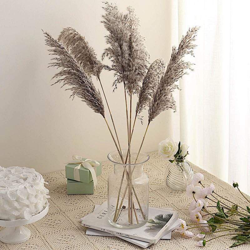 6 pcs 32" Natural Pampas Grass Sprays Dried Plant Stems