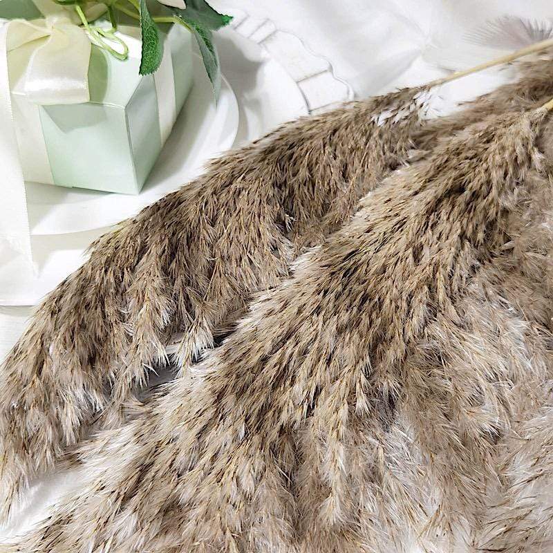 6 pcs 32" Natural Pampas Grass Sprays Dried Plant Stems