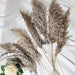 6 pcs 32" Natural Pampas Grass Sprays Dried Plant Stems