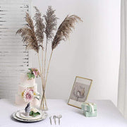 6 pcs 32" Natural Pampas Grass Sprays Dried Plant Stems