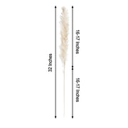 6 pcs 32" Natural Pampas Grass Sprays Dried Plant Stems