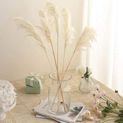 6 pcs 32" Natural Pampas Grass Sprays Dried Plant Stems
