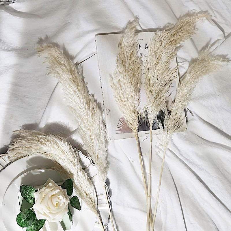 6 pcs 32" Natural Pampas Grass Sprays Dried Plant Stems