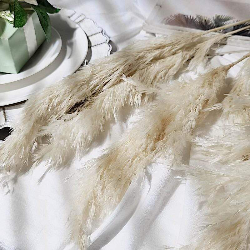6 pcs 32" Natural Pampas Grass Sprays Dried Plant Stems