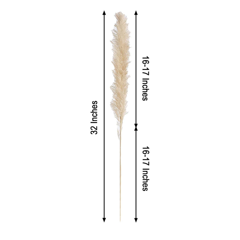 6 pcs 32" Natural Pampas Grass Sprays Dried Plant Stems