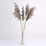 6 pcs 32" Natural Pampas Grass Sprays Dried Plant Stems ARTI_PAMP_001_S_NAT