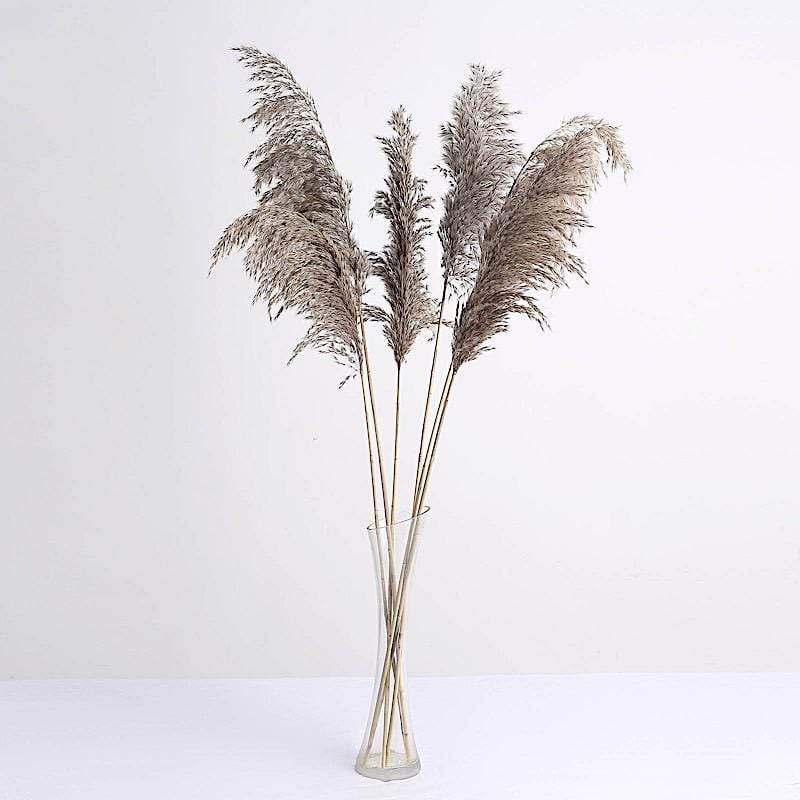 6 pcs 32" Natural Pampas Grass Sprays Dried Plant Stems ARTI_PAMP_001_S_NAT