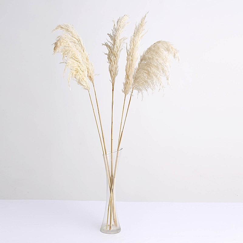 6 pcs 32" Natural Pampas Grass Sprays Dried Plant Stems ARTI_PAMP_001_S_WHEA